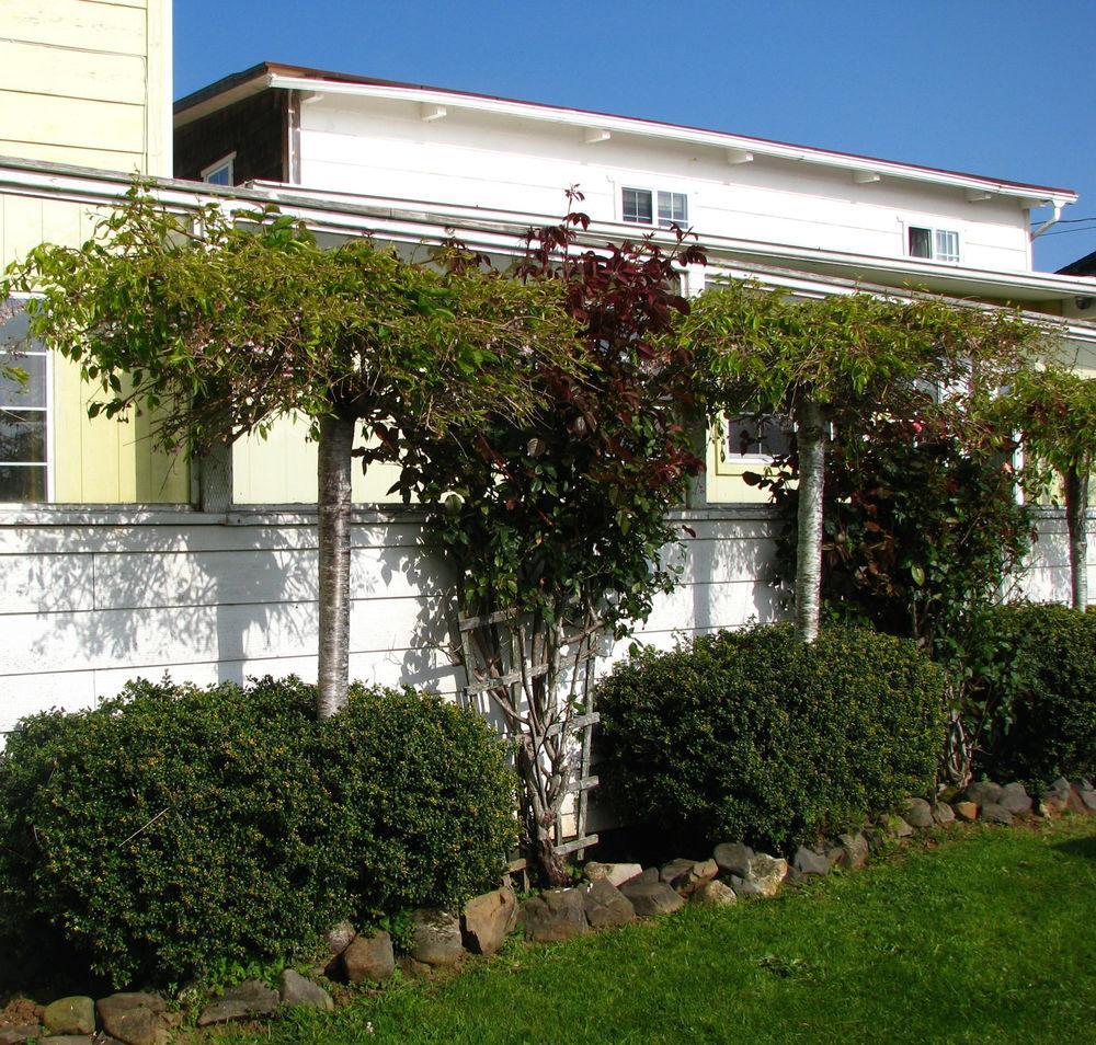 Pacific City Inn 외부 사진